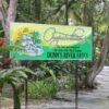 Dunns river falls ocho rios