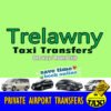 airport transfers to trelawny