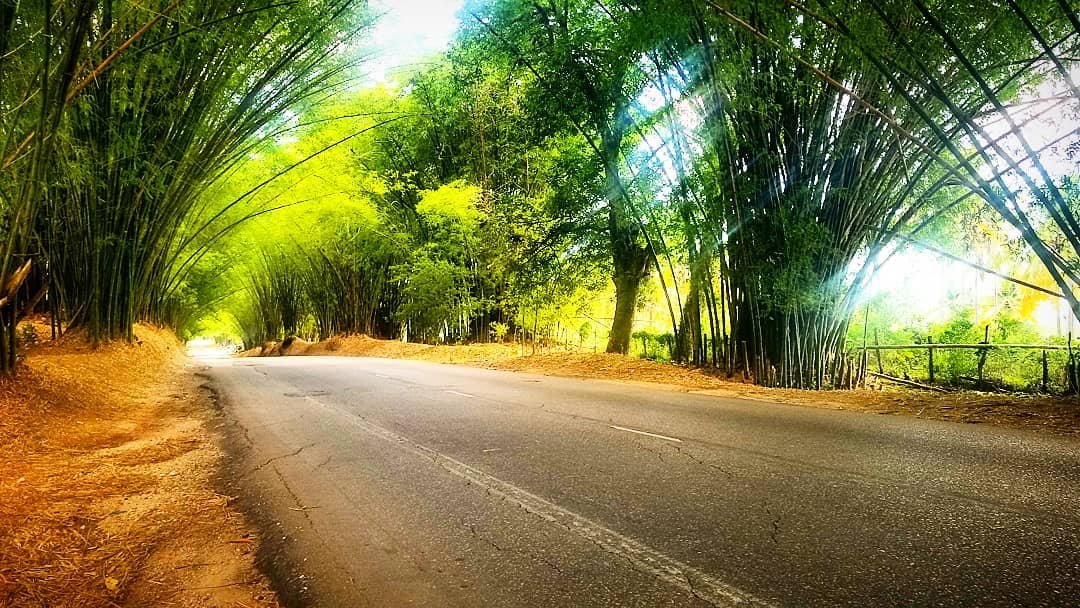 Juta Tours Taxi- TaxiOhh Excursions Private Tours